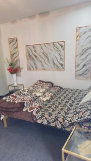 Hassan Resorts - Naran - 6