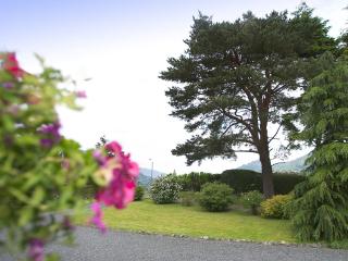 Chapelfield Cottage - Rosthwaite - 1