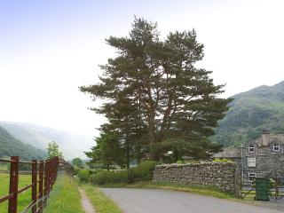 Chapelfield Cottage - Rosthwaite - 2
