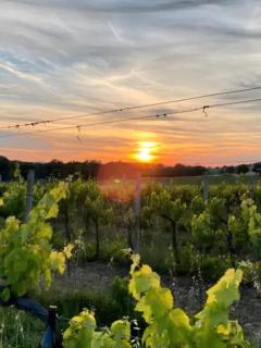 Casale Rialto - Montefalco - 7