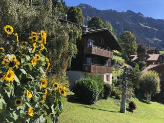 Chalet Gerbera 1 - Wengen - 8