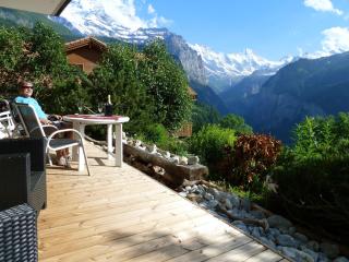 Chalet Gerbera 1 - Wengen - 4