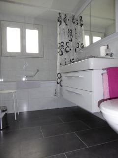 Chalet Gerbera 2 - Wengen - 2