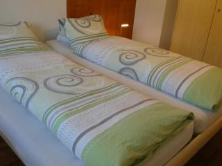 Chalet Gerbera 2 - Wengen - 1