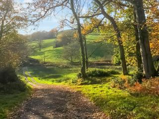 Brabazon - Uk50125 - Membury - 3