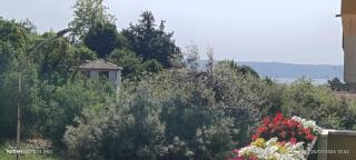 Le Gemme - Gradoli - 1