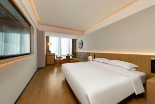 Floral Hotel Banlan Cangzhou Convention and Exhibition Center High-speed Railway West Station - 3