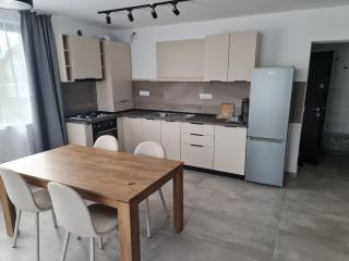 Vibe Apartment - Sighetu Marmaţiei - 8