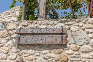 Ξενώνας Πελασγός - Sparta - 9