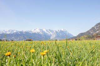 Haus Alpspitzblick Harmonie - Farchant - 2