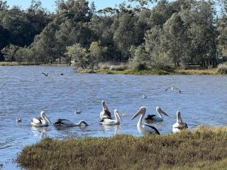 Peaceful Lakeviews, Beach Walks - Killarney - 4