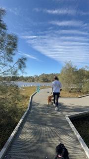 Peaceful Lakeviews, Beach Walks - Killarney - 3