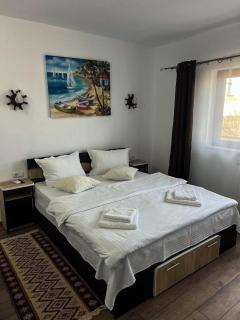 Pensiunea Salcioara - 1