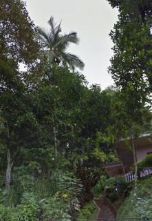 Amadam House - Kandy - 4