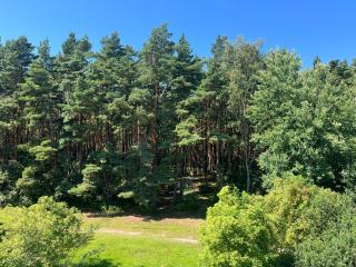 MiMi Palanga - Self Check-in - 9