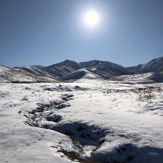 Yurt company Aibek Kilemche - Bagysh - 7