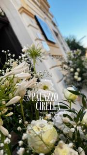 B&B il Palazzo Cirella - Cirella - 8