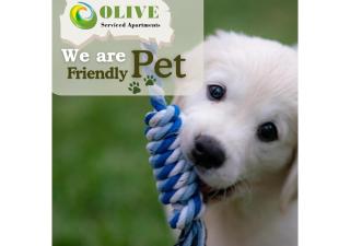 Olive Serviced Apartments - Defence Colony - Neu-Delhi - 6