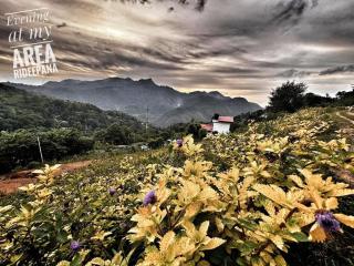Starry Villa - Badulla - 3
