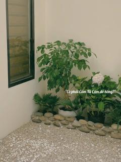 Khế Homestay - Can Tho - 1
