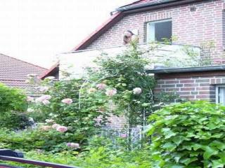 Ferienwohnung Mühlenblick - Carolinensiel - 4