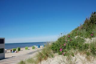 Reethaus am Strand direkt am Meer - Wyk auf Föhr - 5