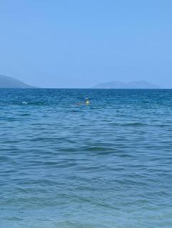 Vila Edgon - Vlorë - 8