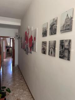 Il Giardino Segreto - Maglie - 6