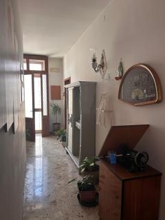 Il Giardino Segreto - Maglie - 5