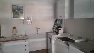 Le petit chat - 4