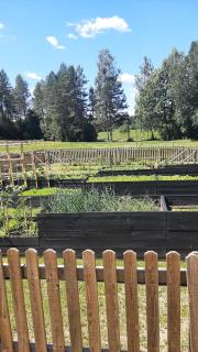 Dawno Temu - Agroturystyka Premium - Lipowy Most - 2