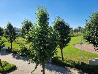 Seepark Sellin FeWo AG Whg 253 - Sellin - 2