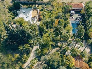 Jungle Eva Bodrum - Entire Estate with Pool & Gardens - Bodrum - 3