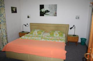 Ferienwohnung Haus Veronika - Wegscheid - 9