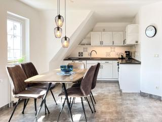 Kormoran 19 - Zingst - 9