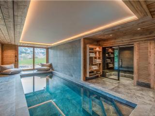 Chalet moderne avec piscine intérieure et hammam - FR-1-569-76 - 3