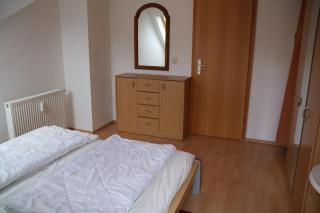 Zaunkönig - 59-16 - 3