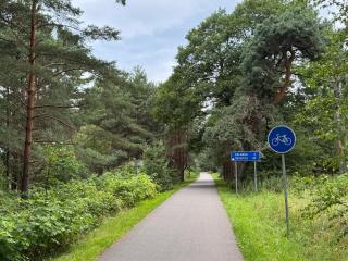 Sea & Pinewoods Stay - Nemirseta Beach Apartment Palanga - Palanga - 8