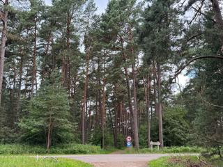 Sea & Pinewoods Stay - Nemirseta Beach Apartment Palanga - Palanga - 1