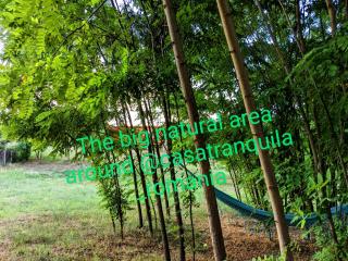 Casa Tranquila - 4