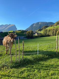 Appartement Holderstauden - 9