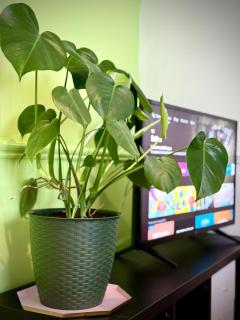 Guest Apartment - Dublino - 8