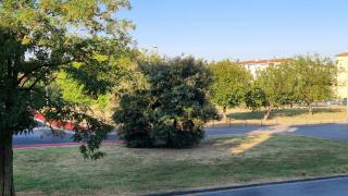 Casa sul Parco - Pisa - 9