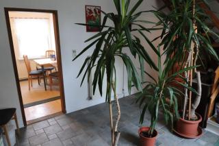 Karl-Risch-Straße - 64-01 - 5