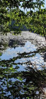 Ferienhaus Korn mitten im schönen Pfälzer Wald, Privat Haus - 2