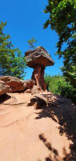 Ferienhaus Korn mitten im schönen Pfälzer Wald, Privat Haus - 6