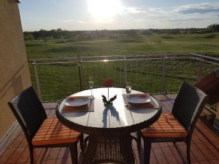 Albatros App 04 DG R - 2