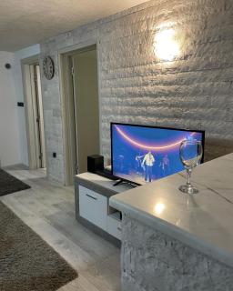Apartments Bronze Podgorica - 8