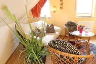 Wiesengrund - 55-36 - 8