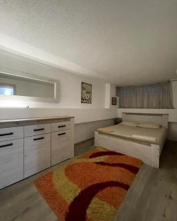 Apartments Bronze Podgorica - 5
